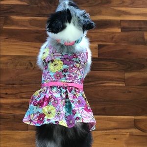 dog harness dress
